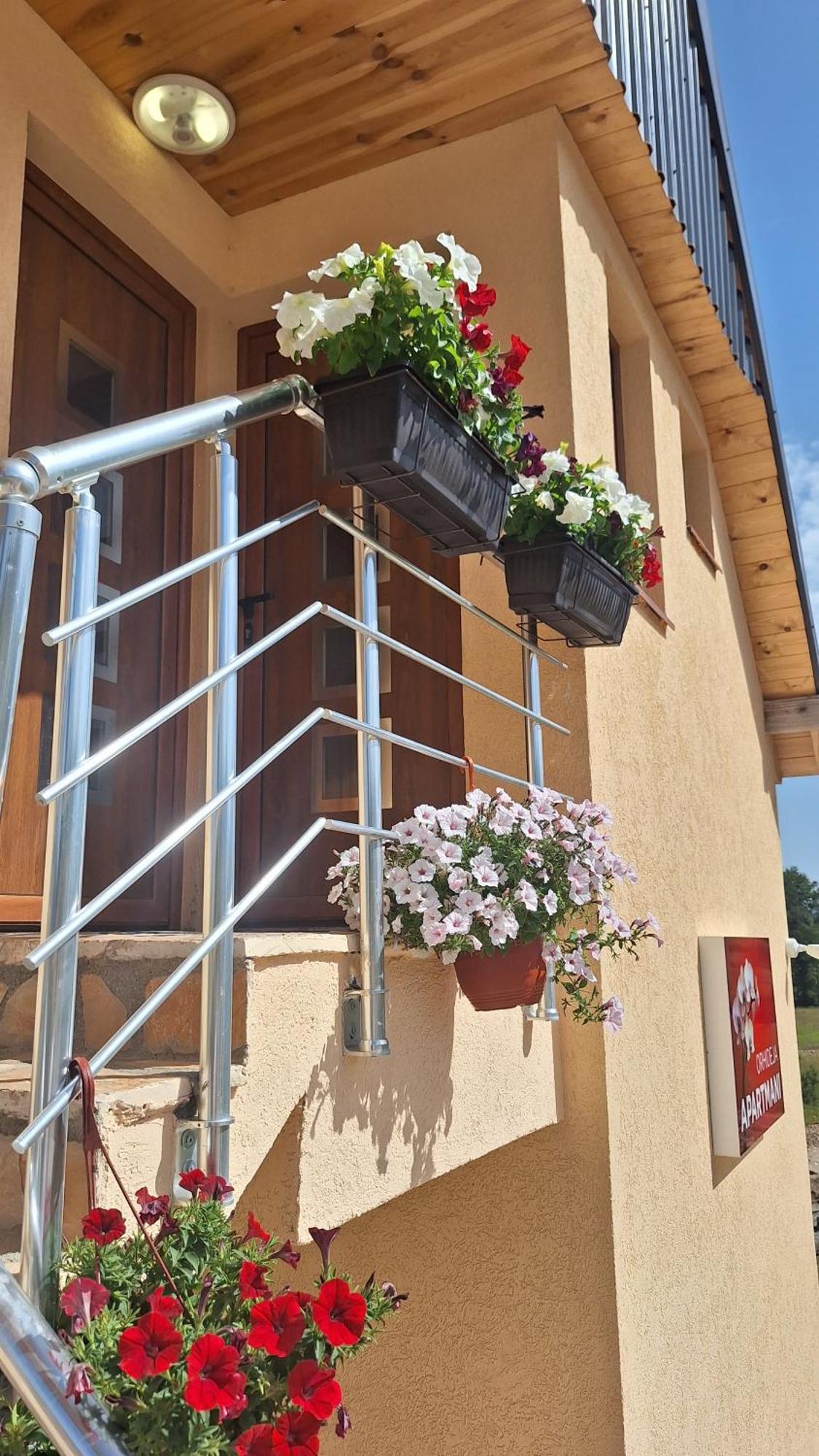 זבליאק Apartments Orchidea מראה חיצוני תמונה
